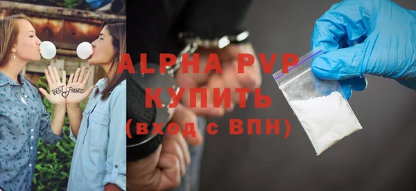 сатива Козловка