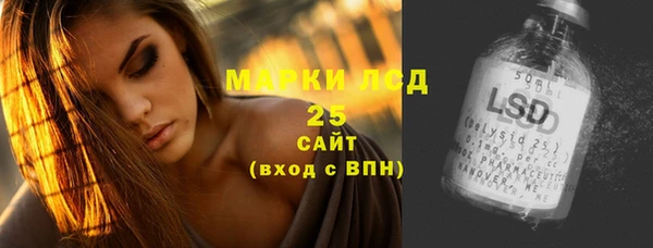 сатива Козловка