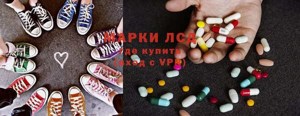 сатива Козловка
