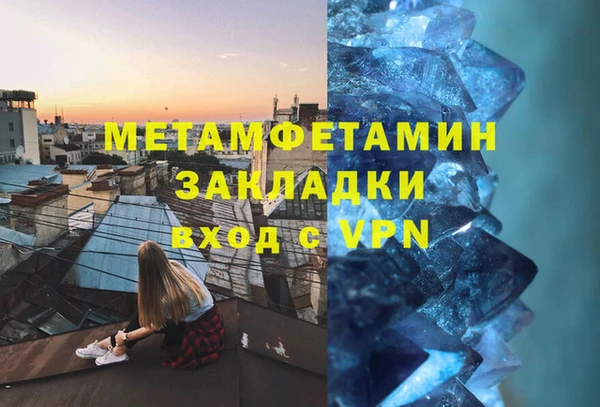 сатива Козловка