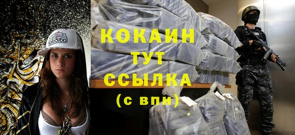 сатива Козловка