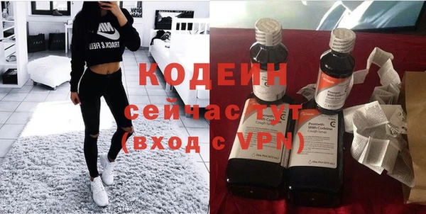 сатива Козловка