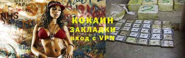 сатива Козловка