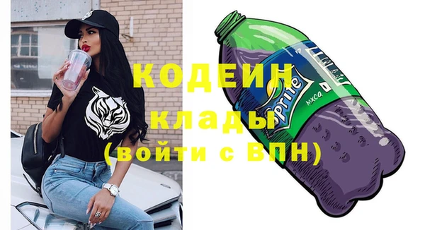 сатива Козловка