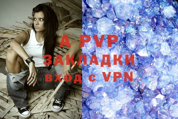 сатива Козловка