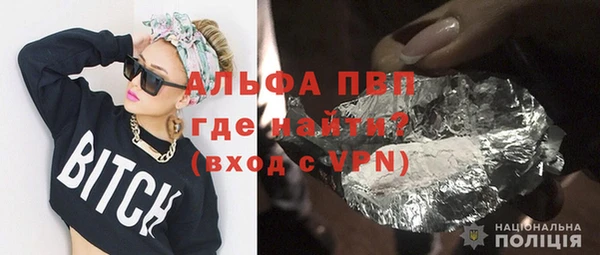 сатива Козловка